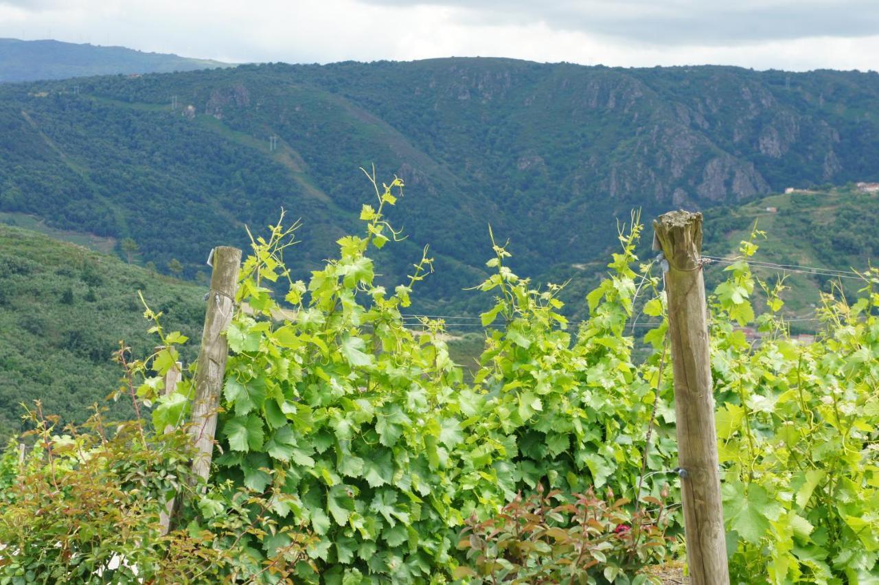 Апартаменты O Muino Casa Ferrador Ribeira Sacra Barantes Экстерьер фото